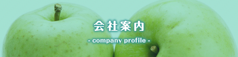 セントライ青果 会社案内