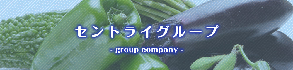 セントライグループ