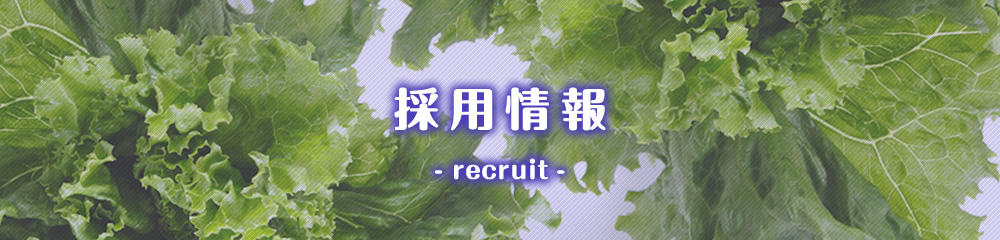 セントライ青果 採用情報