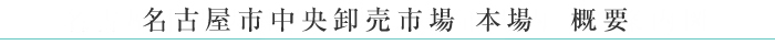 名古屋市中央卸売市場 本場 概要