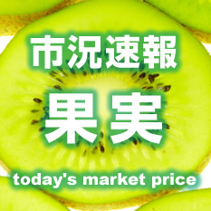 市況速報 果実