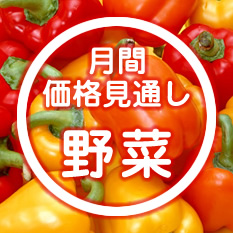 月間価格見通し 野菜