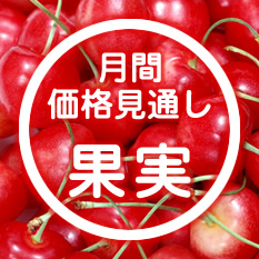 月間価格見通し 果実